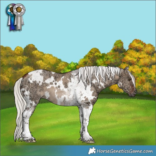 Horse Color:White Spotted Silver Brown Ice Dun Tobiano 