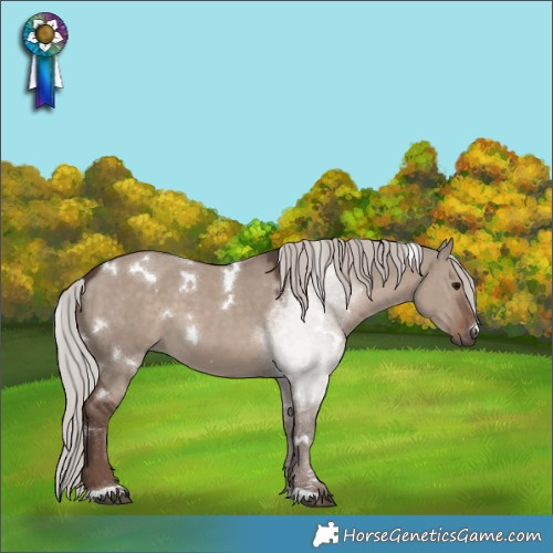 Horse Color:White Spotted Silver Grullo Mushroom