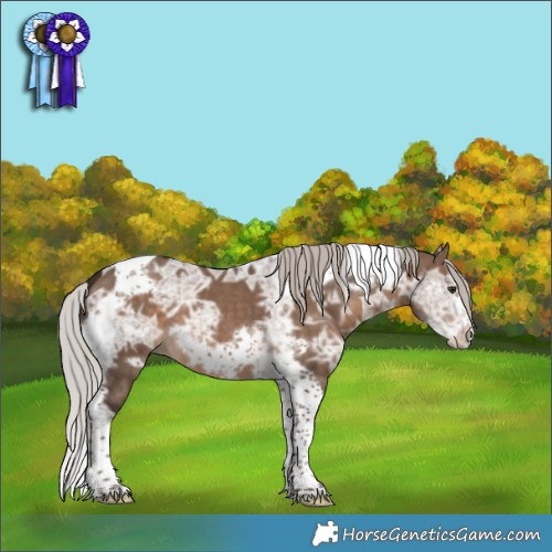 Horse Color:Silver Brown Ice Dun Tobiano Frame