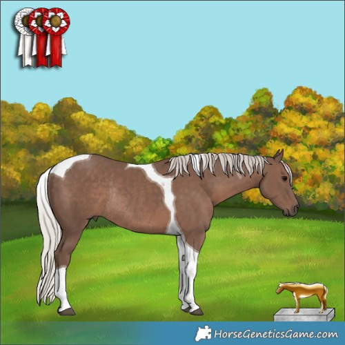 Horse Color:Silver Black Tobiano Rabicano