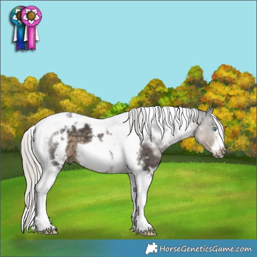 Horse Color:White Spotted Silver Smoky Black Tobiano Frame
