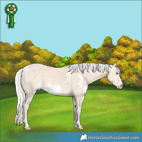 Horse Color:White Spotted Silver Perlino Frame 