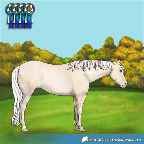 Horse Color:White Spotted Silver Classic Cream Champagne Pearl