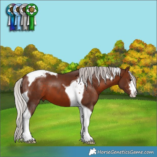 Horse Color:White Spotted Silver Brown Tobiano 