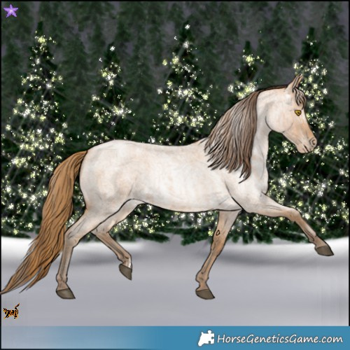 Horse Color:Bay Roan Pearl  and Gray Buckskin Roan Pearl 