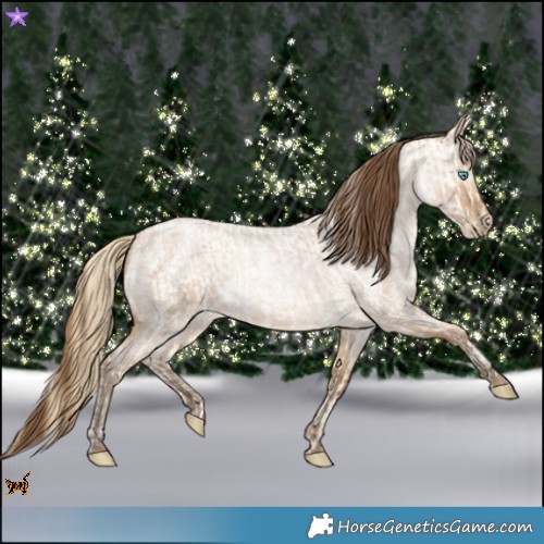 Horse Color:Buckskin Roan Pearl  and Gray Buckskin Roan Pearl 