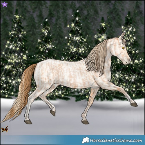 Horse Color:Bay Roan Pearl and Buckskin Roan Pearl