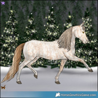 Horse Color:Bay Roan Pearl and Buckskin Roan Pearl