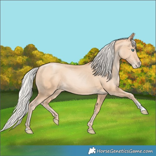 Horse Color:Silver Amber Champagne Pearl 