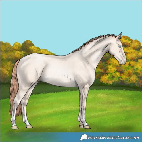 Horse Color:Amber Cream Champagne Pearl Rabicano 
