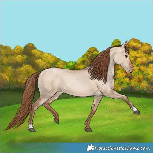Horse Color:Brown Pearl Dun 