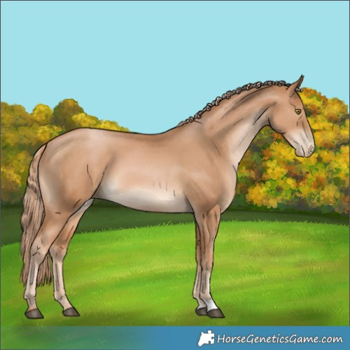 Horse Color:Chestnut Pearl