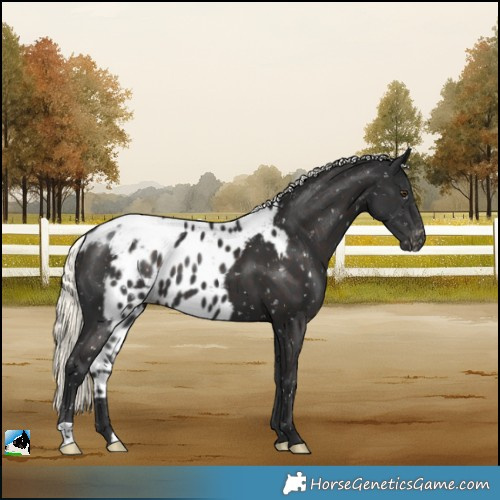 Horse Color:Liver Chestnut Mushroom Skewed LP Spotted