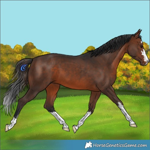 Horse Color:Brown 