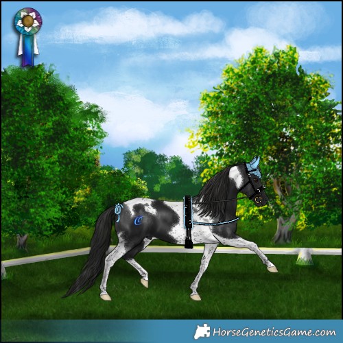 Horse Color:Gray Black Mushroom Tobiano 