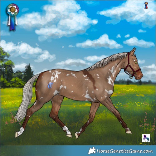 Horse Color:White Spotted Silver Bay Dun Varnish 