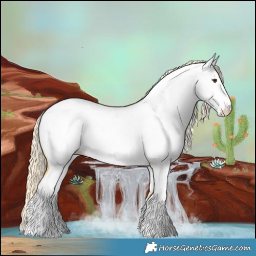 Horse Color:Palomino Near Fewspot