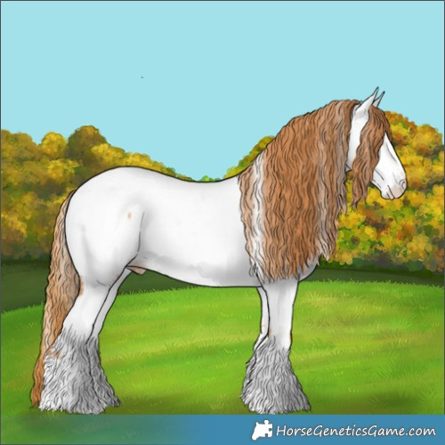 Horse Color:Red Roan Splash Near Fewspot 