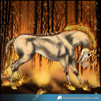 Horse Color:Palomino 