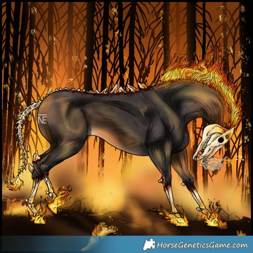Horse Color:Buckskin 