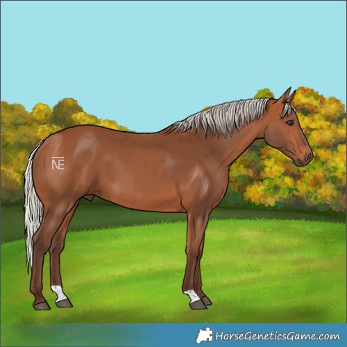 Horse Color:Silver Bay