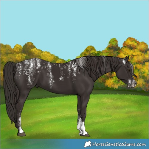 Horse Color:Powder White Liver Chestnut 