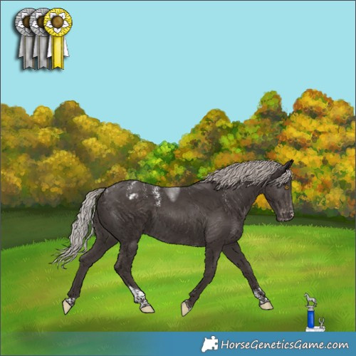 Horse Color:Powder White Silver Black Tobiano Appaloosa