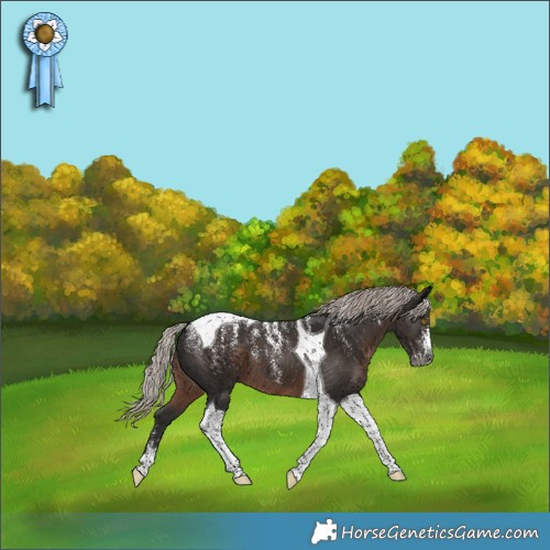 Horse Color:Powder White Gray Silver Black Tobiano