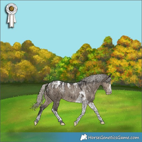 Horse Color:Powder White Silver Smoky Grullo Tobiano Blanket Brindle 