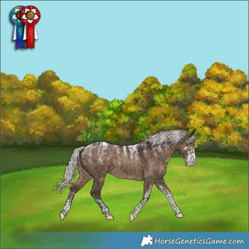 Horse Color:Powder White Silver Grullo Snowcap Brindle 