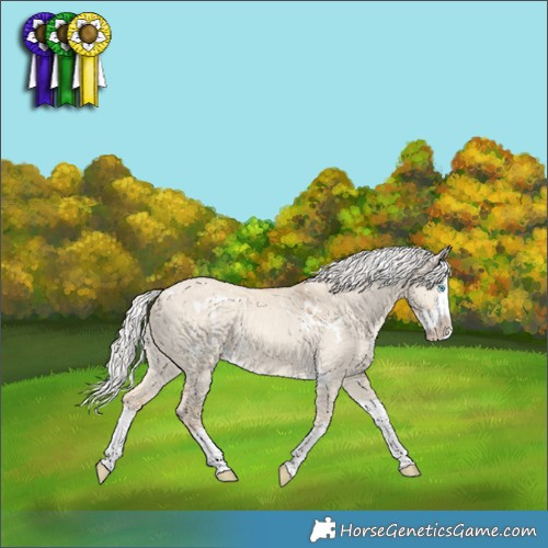 Horse Color:White Spotted Silver Perlino Dun Splash Rabicano 