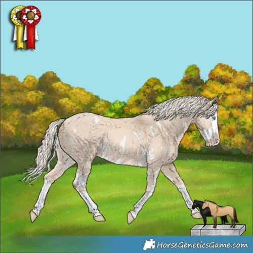 Horse Color:White Spotted Cremello Dun Splash Rabicano