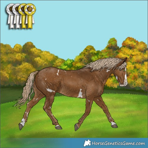 Horse Color:White Spotted Chocolate Palomino Splash Rabicano 