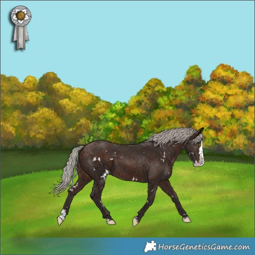 Horse Color:White Spotted Silver Bay Splash 