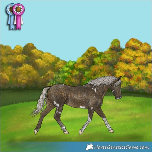 Horse Color:White Spotted Silver Buckskin Tobiano