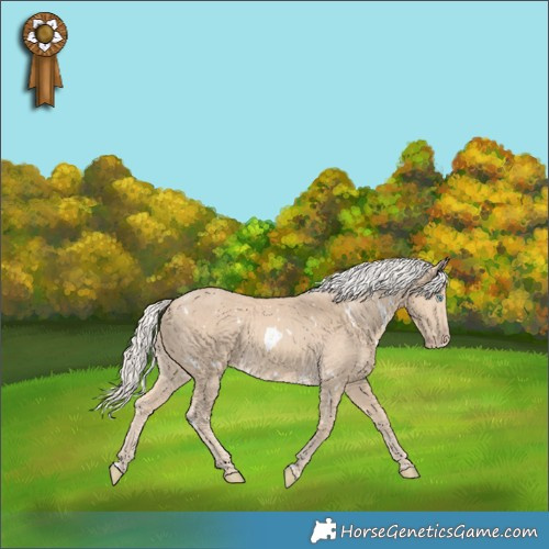 Horse Color:White Spotted Cremello 
