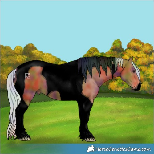 Horse Color:Void Nacre Silver Bay Tobiano 