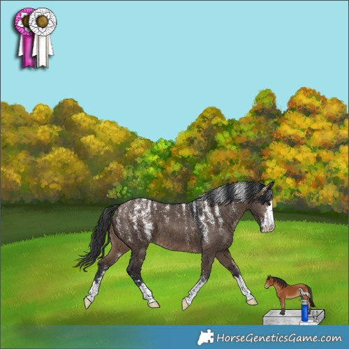 Horse Color:Powder White Brown Dun 