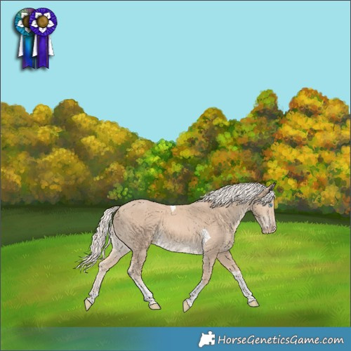 Horse Color:Cremello Tobiano