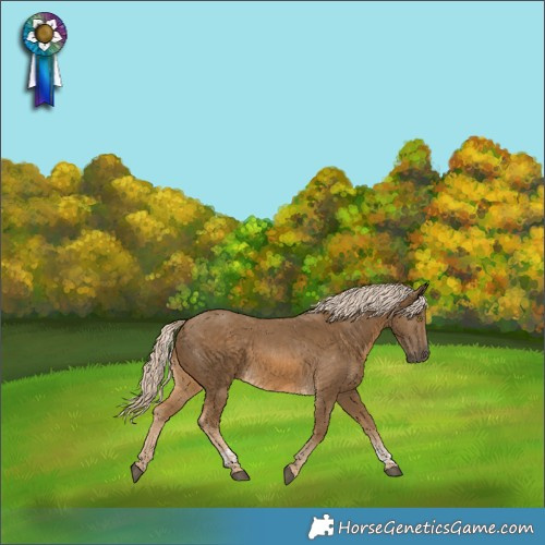 Horse Color:Chocolate Palomino Tobiano 