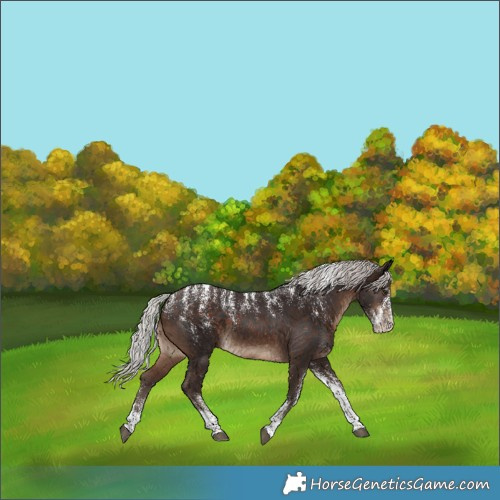 Horse Color:Powder White Silver Brown