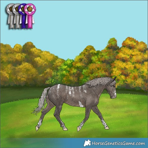 Horse Color:Powder White Silver Black Tobiano