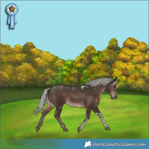Horse Color:Silver Black Tobiano
