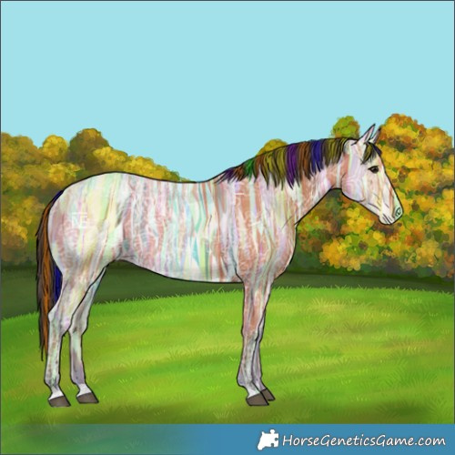 Horse Color:Painted Bay Ice