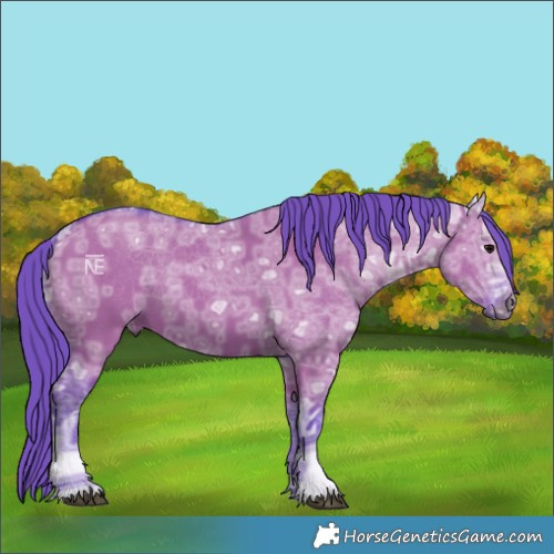 Horse Color:Watercolor Grullo Ice 