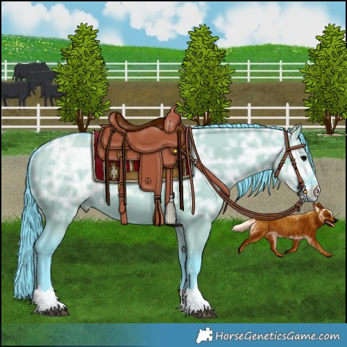 Horse Color:Watercolor Grullo Ice