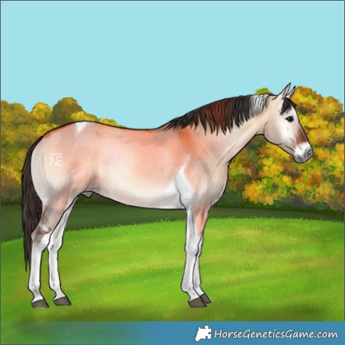 Horse Color:Bay Onyx Tobiano Rabicano