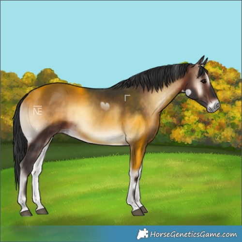 Horse Color:Brown Onyx Rabicano 