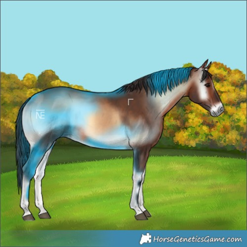 Horse Color:Brown Onyx Rabicano 