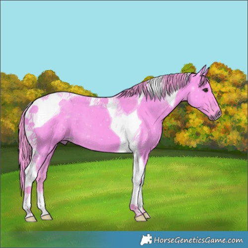 Horse Color:Watercolor Smoky Grullo Tobiano